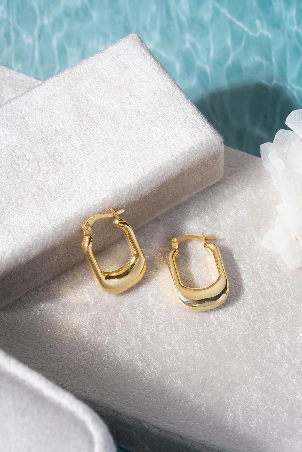 Trosita Golden Earrings