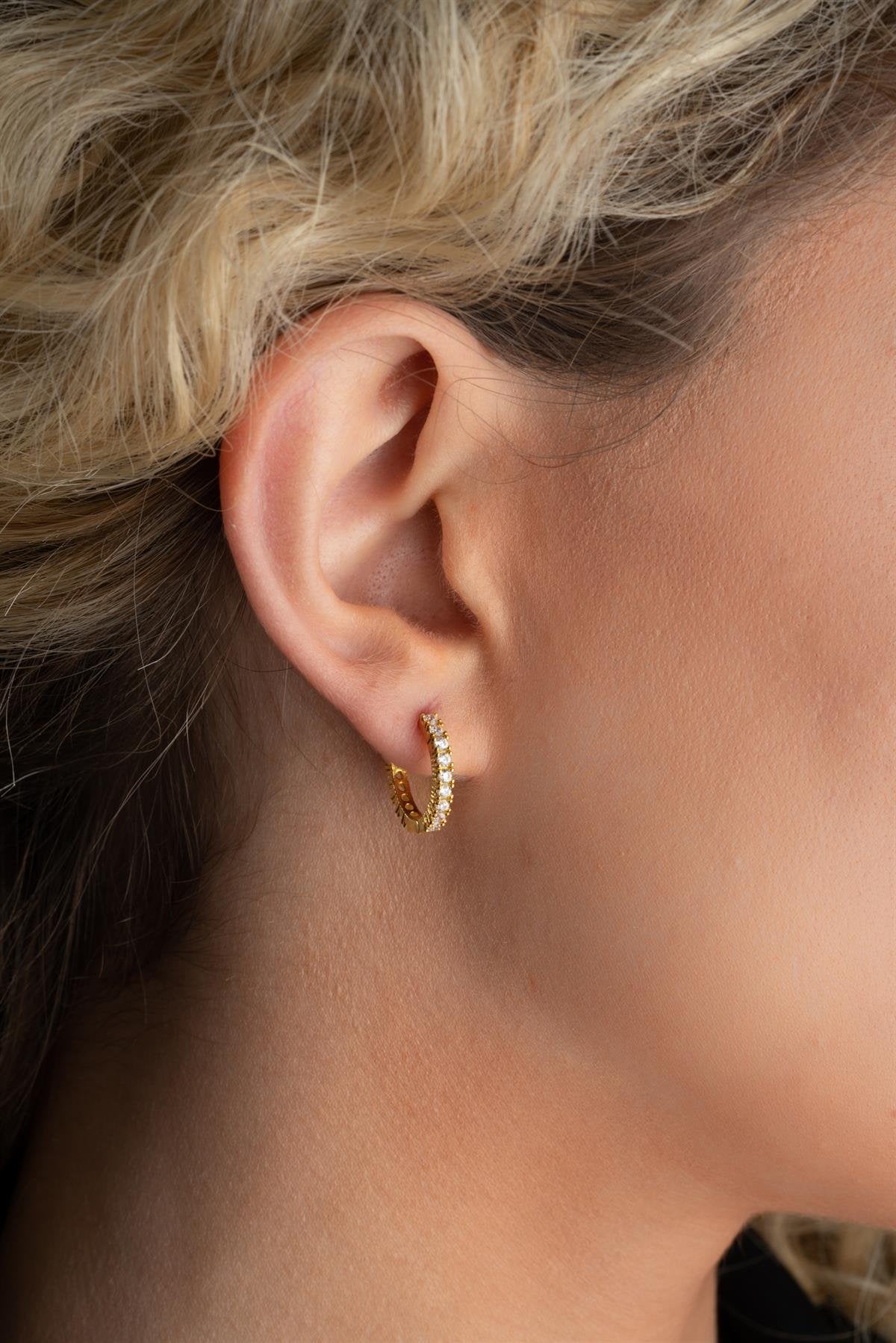 Gold Plated Full Circle Earrings